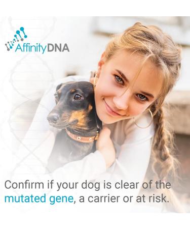 AffinityDNA Dog Degenerative Myelopathy (DM) DNA Test Kit | Fast Results in 7 Days | Canine DM Testing for Puppy | Home Collection - No Extra Fees - Buy Online on GoSupps.com