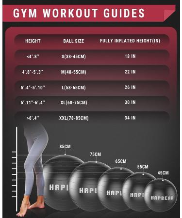 HAPBEAR Exercise Ball - Large Yoga Ball for Stability Work Out and Pregnancy - Anti-Burst Swiss Balance Fitness Ball with Quick Pump - Black - L (23-26inch / 58-65cm) - Buy Online on GoSupps.com