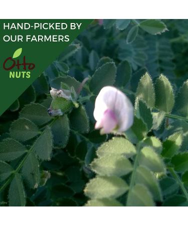 Otto Nuts - Dry Roasted Turkish Chickpeas with Sea Salt | Non-GMO Vegan Snack | High Protein 5.5 OZ Resealable Bag - Buy Online on GoSupps.com