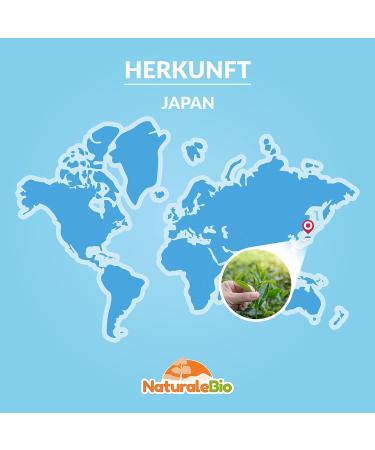 Buy Organic Japanese Sencha Tea - 100g Pure Green Tea Leaves - First Harvest - Naturalbio Bio Product - Buy Online on GoSupps.com