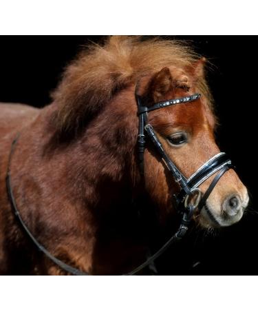 Tysons Breeches Nobless Bridle for Minishetty - Anatomically Cut Black Silver Grey with Rhinestones - Buy Online on GoSupps.com