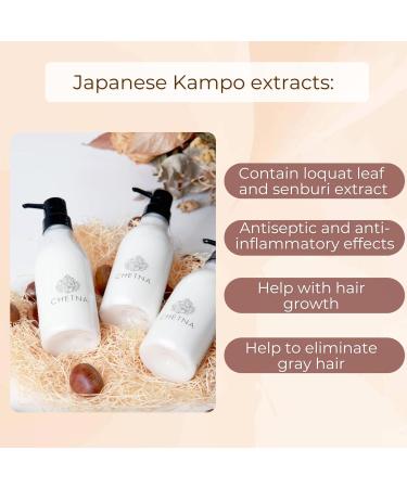 CHETNA Antioxidant Japanese Hair Conditioner 13.5 fl oz (400 ml) Non-Silicone Amino Acid Weak Acid Naturally Derived Damage Repair With Pasa Habitation - Buy Online on GoSupps.com