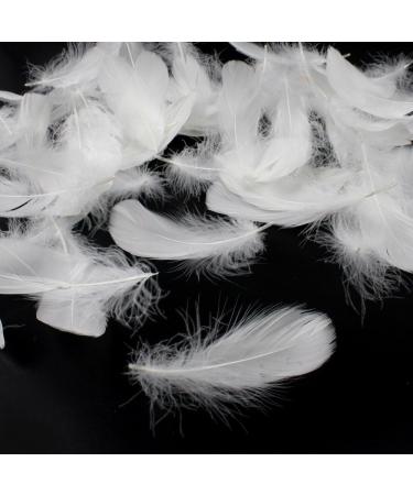 Coceca 500pcs White Feathers - Ideal for DIY Craft, Wedding & Party Decor - Buy Online on GoSupps.com