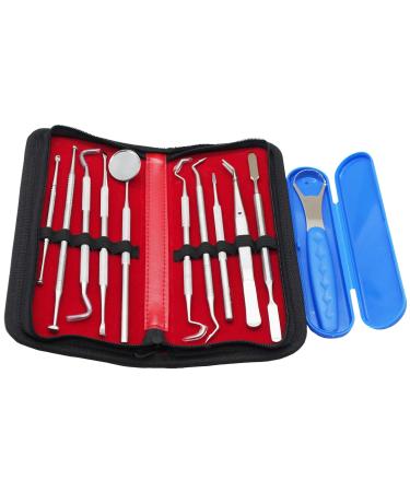 Professional Dental Oral Hygiene Tool Kit 11 Stainless Steel Tools for Teeth Cleaning Scaling and Care - Buy Online on GoSupps.com