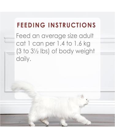 Fancy Feast Chunks Wet Cat Food Beef Flavour in Gravy - 85 g Can (24 Pack) - Buy Online on GoSupps.com