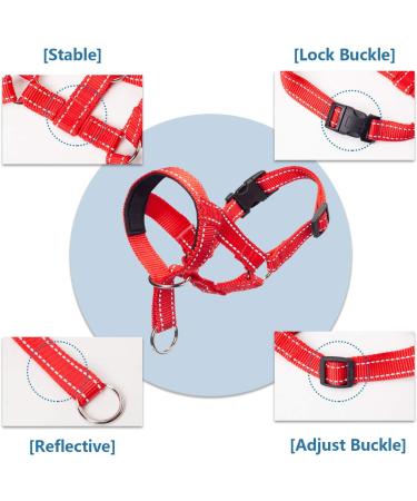 ILEPARK Dog Halter for Training | Colorful Adjustable Head Harness to Stop Pulling Easy to Use - Buy Online on GoSupps.com