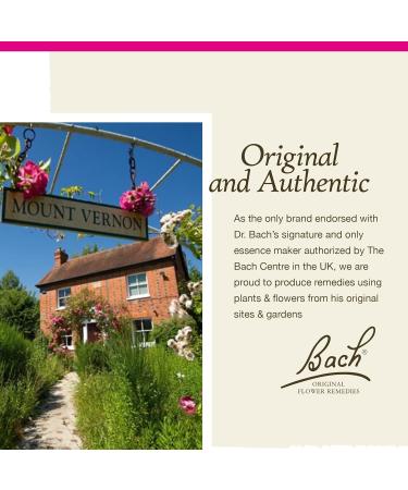 Bach Original Flower Remedies Larch - Natural Homeopathic Essence for Confidence Stress Relief & Holistic Wellness Vegan 10mL Dropper - Buy Online on GoSupps.com