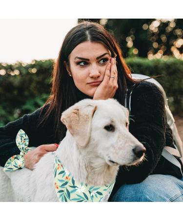 Green Dog Bandana & Matching Scrunchie Set for Medium Large Dogs - Pet Owner Gift - Washable Kerchief Bibs - Birthday Gift - 05-Green White - Large - Buy Online on GoSupps.com