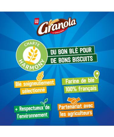 LU Granola - 4 Boxes of Granola Biscuits with Milk Chocolate - Family Pack - Set of 4 Chocolate Biscuits - Ideal for Snacks - Made in France - Pack of 4 x 200g - Buy Online on GoSupps.com