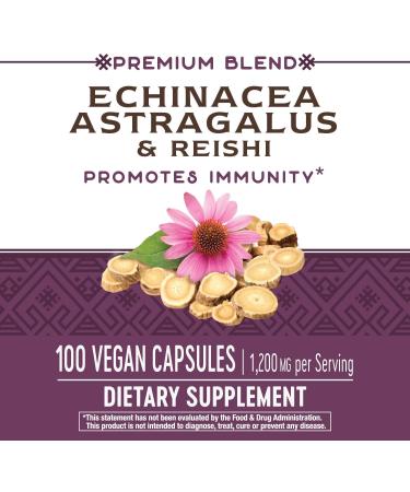 Nature's Way Echinacea Astragalus Reishi Immune Support 100 Capsules - Buy Online on GoSupps.com