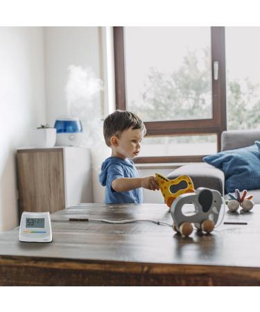 WICK 2-in-1 Hygrometer and Thermometer W70 | Accurate Indoor Humidity & Temperature Measurement - International Shipping Available - Buy Online on GoSupps.com