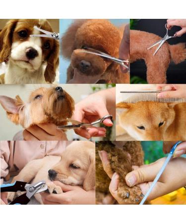 Freewindo Dog Grooming Kit - Round Tip Scissors & Stainless Steel Clippers - 6 in 1 Pet Grooming Set for Dogs and Cats - Buy Online on GoSupps.com
