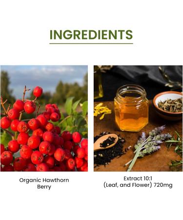 Green Organic Supplements Hawthorn Berry Capsules Leaf Flower Hawthorn Supplements Contains 90 Capsules Natural Hawthorn Herbs for Cardiovascular Health & Natural Heart Care (Single) - Buy Online on GoSupps.com