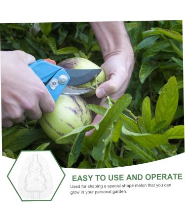 VINTORKY 3pcs Vegetable Mold Ginseng Creative Melon Fruit Accessory Forming Machine Gourd - Buy Online on GoSupps.com