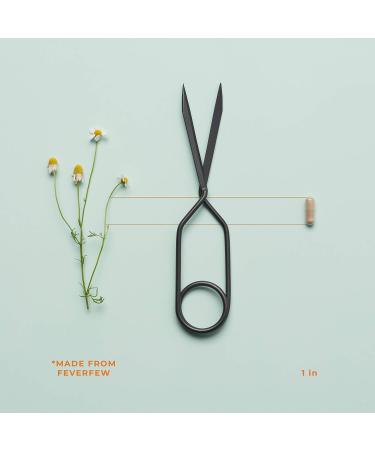 Life Seasons Migra-T Migraine Relief Supplement - Natural Headache Relief with Feverfew, Magnesium, and CoQ10 - 60 Capsules - Buy Online on GoSupps.com