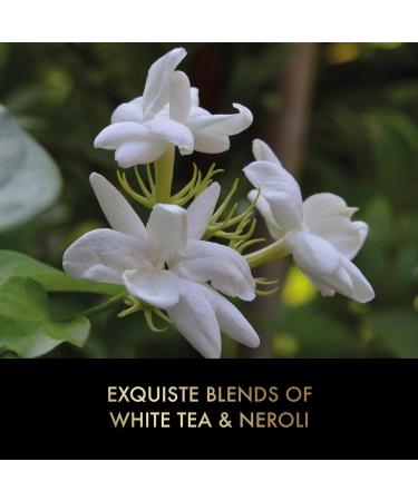 Baylis & Harding Elements White Tea & Neroli Hand Care Gift Set - Vegan, Luxury, Pack of 1 - Buy Online on GoSupps.com