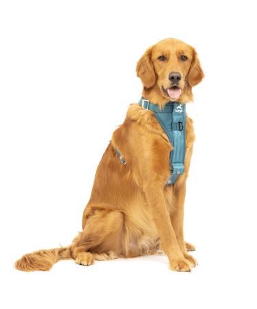 Kurgo Tru-Fit Dog Harness Crash Tested Car Seat Belt For Dogs 2 to 5 kg Size XL Ink Blue Ink Blue XL