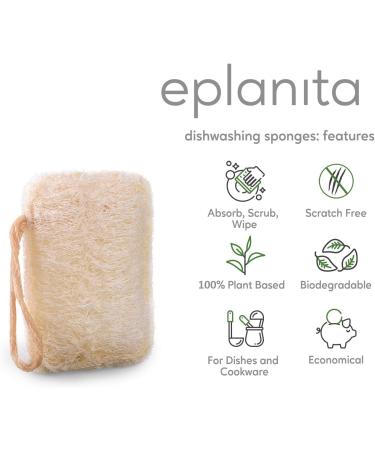 Eco-Friendly Eplanita Natural Dishes Ruts (6-Pack) - Biodegradable Kitchen Scrub Scourer | Zero Waste Luffa Plant - Buy Online on GoSupps.com