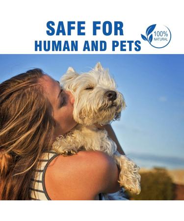 PET DOG HIGH VISIBILITY HI VIZ FLORESCENT REFLECTIVE SAFETY VEST COAT 4 SIZES (Large) - Buy Online on GoSupps.com