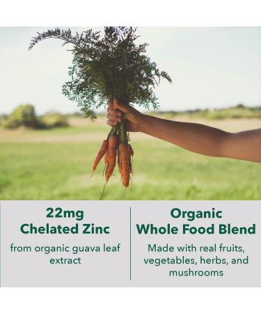 PlantFusion Vegan Zinc Supplements 22 mg Wholefood Complex Chelated Zinc Citrate from Organic Guava Leaf for Immune Support 60 Capsules - Buy Online on GoSupps.com