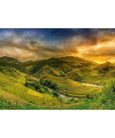 Lais Puzzle Rice fields on terraces at sunset Mu chang chai Yen bai Vietnam 500 pieces - Buy Online on GoSupps.com