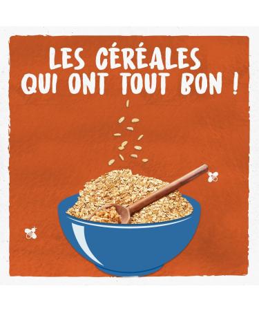 BJORG - Porridge 3 Organic Cereals - Oats Wheat Spelled - No Added Sugars - Bag of 375g - Buy Online on GoSupps.com