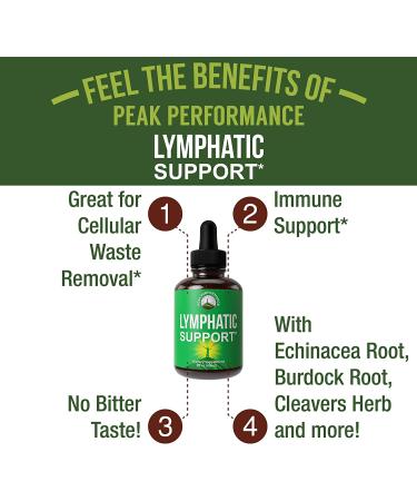 Lymphatic Drainage Drops | Sugar-Free 7-in-1 Vegan Lymph Detox Support Supplement with Echinacea, Red Clover, Burdock Root, and More - Buy Online on GoSupps.com