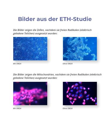 Omnimedica Natural Sunscreen SPF 30 - Body & Facial Protection Against Pigment Spots with Swiss OM24 Green Tea Extract - 100ml for All Skin Types - Buy Online on GoSupps.com