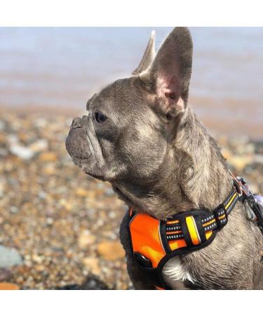 Rabbitgoo Adjustable Dog Harness for Medium & Large Dogs - No Pull Breathable with Reflex Stripes - Safe Control Guide in Orange XL (1 Pack) - Buy Online on GoSupps.com