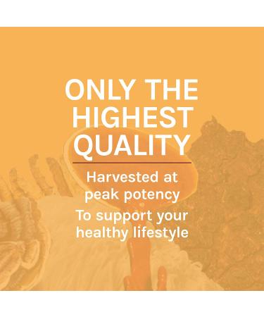 Fungi Perfecti Cordyceps Energy Support - 60 Veg Capsules for Vitality - Buy Online on GoSupps.com