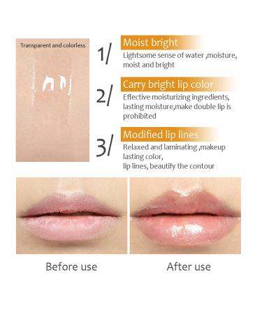 Premium Lip Plumper & Oil | Tinted Moisturizing Gloss for Fuller Nourished Lips | Lightens Fine Lines & Enhances Elasticity - Buy Online on GoSupps.com