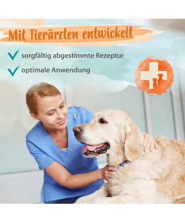 Ida Plus Probiotic Snack for Dogs - Intestinal Renovation & Digestive Support - 440g Prebiotic Formula for Healthy Gut Flora - Buy Online on GoSupps.com