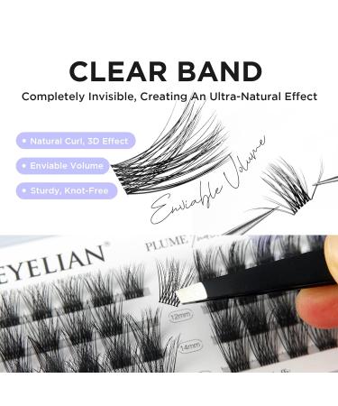 Beyelian C Curl Cluster Eyelashes - 48 PCs DIY Individual Lashes (10-16mm) with Super Thin Transparent Band - Perfect for At Home Use - Buy Online on GoSupps.com