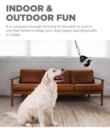 Outward Hound Blue Tail Teaser Wand - Interactive Dog Training Toy and Agility Kit - Buy Online on GoSupps.com