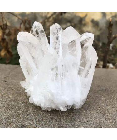 1 Piece Natural Crystal Clear Quartz Cluster Free Form Reiki Stone Suitable for Home Raw Stones and Minerals (Size : 200-300g) Home Goods (Size : 400-500g) - Buy Online on GoSupps.com