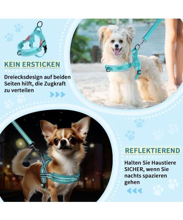 Shop Eyein No-Pull Dog Harness with Leash & Padded Dishes - Adjustable & Reflective for Puppies Small & Large Dogs Cats - Blue-Green Size S - Buy Online on GoSupps.com