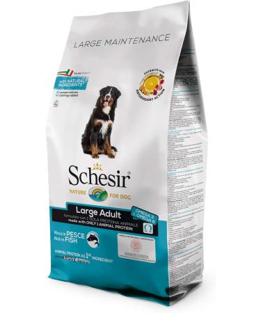 Schesir Food for Large Adult Dogs Fish Flavor Maintenance Line kibble - 12 kg Bag Format - Buy Online on GoSupps.com