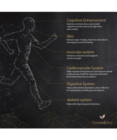 NutroElite Pure Gold-Grade Sundried Himalayan Shilajit Resin - 100% Natural Authentic & Organic - Energy Vitality & Wellness Supplement - Lab Tested for Safety - Buy Online on GoSupps.com