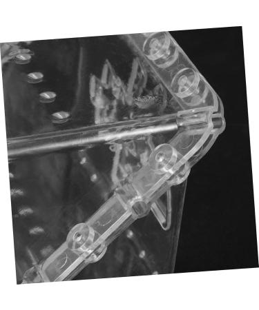 GANAZONO 10 Pcs Square Apple Molds Clear Fruit Plastic Fruit Mushroom Mold Shaping Mold Vegetable Alien - Buy Online on GoSupps.com