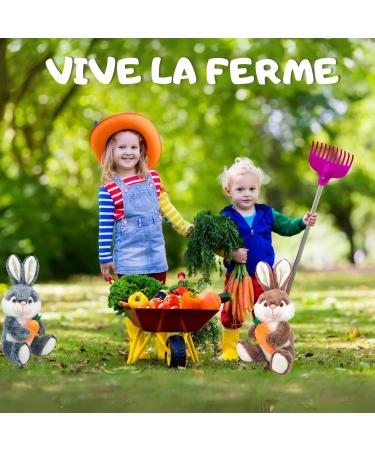 Peluches Lapins et leur assortiment de 20 chocolats KINDER CELEBRATIONS DAIM - Cadeau Original pr t offrir - Buy Online on GoSupps.com