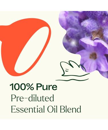Plant Therapy Sensual Essential Oil Blend for Couples Massage Desire 100% Pure Pre-Diluted Roll-On Natural Aromatherapy Therapeutic Grade 10 mL (1/3 oz) - Buy Online on GoSupps.com