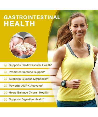 Organic Alliwise Berberine Supplement - 1000mg with Cinnamon, Milk Thistle & Turmeric Extract - Gastrointestinal & Cardiovascular Support - Buy Online on GoSupps.com