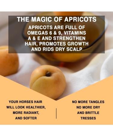Knotty Horse Apricot Oil Highlighting Coat Shine | Fast Absorbing Non-Slip Formula | 20 oz - Buy Online on GoSupps.com