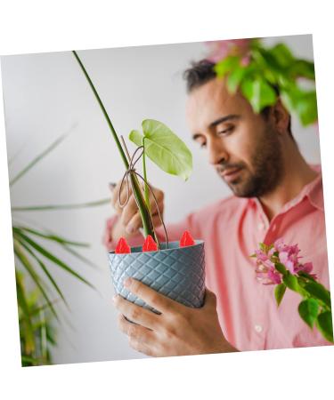 Zerodeko 60 Pcs Simulation Three-dimensional Fruit Minatures Crafts Artificial Fruit Toy Fruit Charms Strawberry Blue Plant Pots Indoor Miniatures Cake Decorations Phone Case Resin Earrings - Buy Online on GoSupps.com