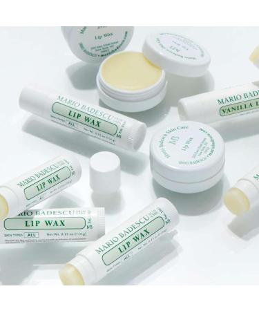 Mario Badescu Lip Wax with Rosehip and Vitamin E Oils Lightweight and Antioxidant Rich Moisturizer for Dry Lips Non-Greasy and Non-Sticky Hydrating Balm 1 Count (Pack of 1) Jar - Buy Online on GoSupps.com