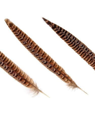 iHUFeather 20pcs Natural Pheasant Female Tails Feathers 6-8inch for DIY Crafts & Decor - Buy Online on GoSupps.com