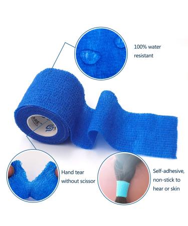 GSPCARE Mix Size Super Elastic Bandages for Vet Wrap & Sports - 4 Piece Assortment (Blue) - Buy Online on GoSupps.com