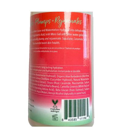 100% PURE Watermelon Cucumber Water Locking Serum for Face Moisturizing Glow Skin Care - Hyaluronic Acid Boost to Replenish Hydrate & Plump Dry Thirsty Skin Vegan - 1.7 fl oz - Buy Online on GoSupps.com