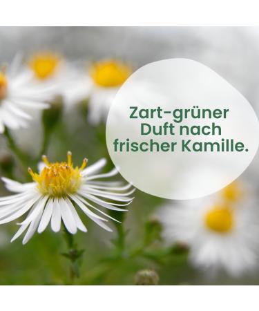  Jean & Len Jean & Len I Love You Kamilleon Times Hand Cream - For normal to dry hands - 24-hour hydration - Absorbs quickly - Vegan hand care - Paraben and silicone free - 75 ml - Buy Online on GoSupps.com