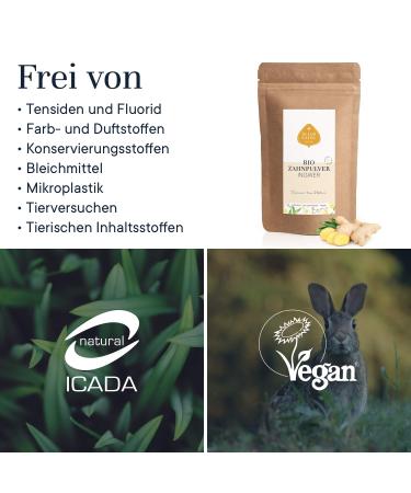 Buy Organic Ginger Toothpowder with Xylitol - Vegan Refill Pack 200g | No Artificial Additives | International Shipping - Buy Online on GoSupps.com